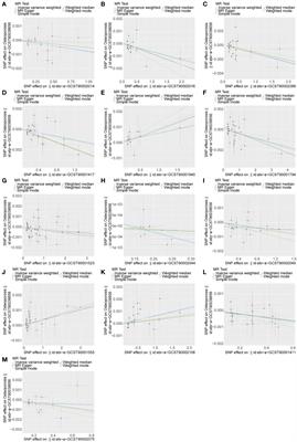 An exploration of the causal relationship between 731 immunophenotypes and osteoporosis: a bidirectional Mendelian randomized study